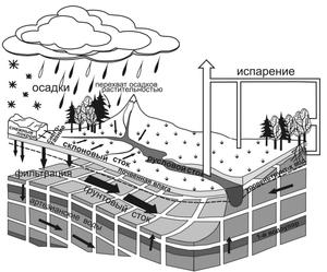 Схема формирования стока на речном водосборе..png