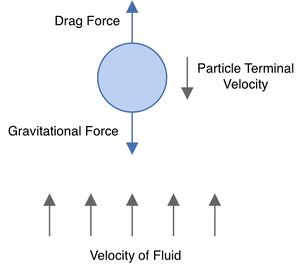 8particle-terminal-velocity.jpg