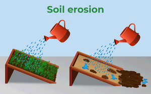 Soil Erosion.png