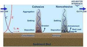 Cohesive sediment.jpg